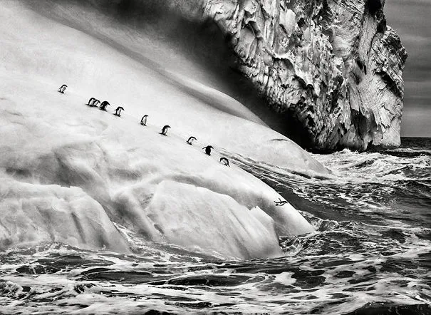 Spectacular Photos By Photojournalist Sebastião Salgado
