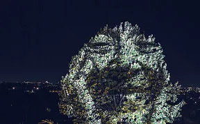 Some Great Street Art With Light!  (Featuring Zinedine Zidane)