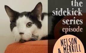 One-eyed Cat Nelson Came From A Hoarder But Now Lives Happily Ever After!