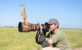 Photographer Became A Handy Lookout Post For Clever Meerkats