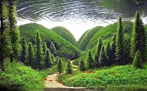Incredible Aquariums