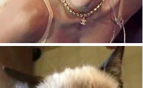 9 Of The Funniest Grumpy Cat Memes