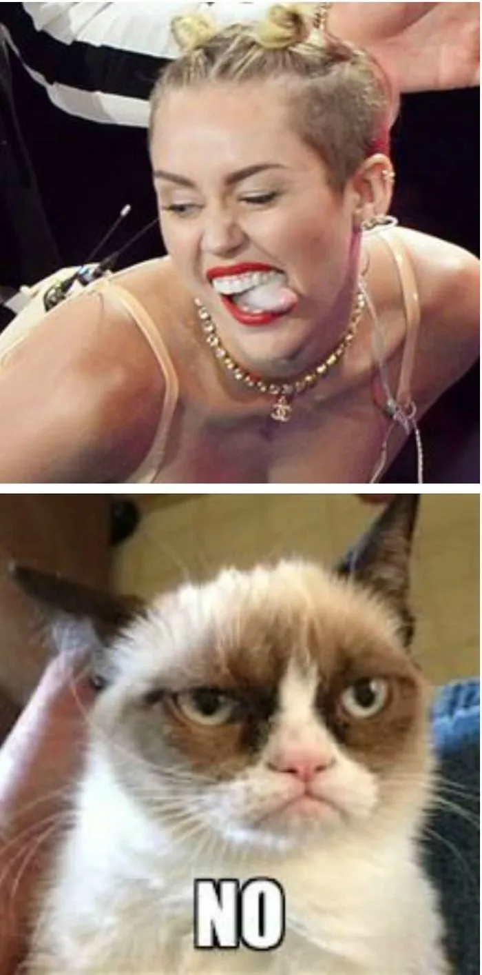 9 Of The Funniest Grumpy Cat Memes
