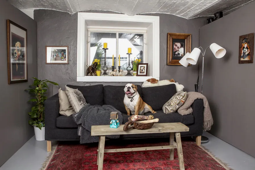 A Bulldog Love Story