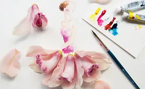 Artist Makes Lovely Illustrations Using Flowers, Food And Watercolor