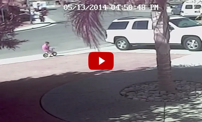 Cat Saves An Autistic Child From A Vicious Dog Attack