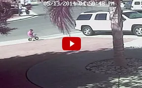 Cat Saves An Autistic Child From A Vicious Dog Attack