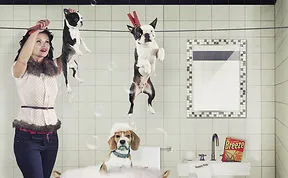 8 Retro Dogs Photo Manipulations