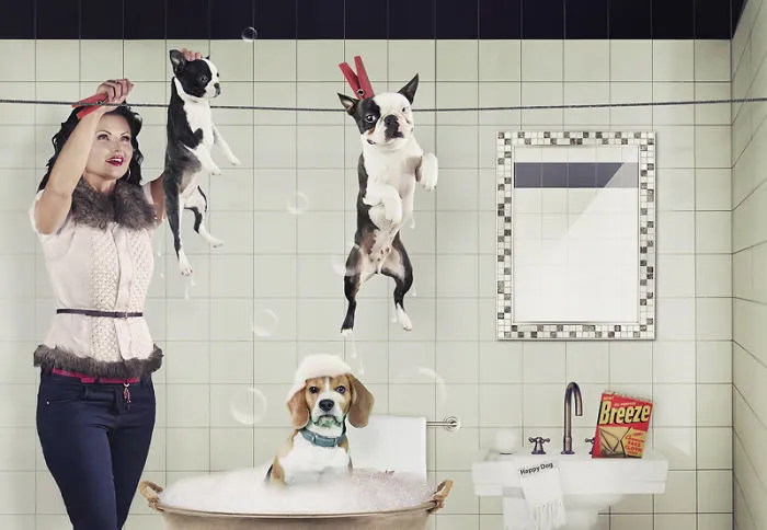 8 Retro Dogs Photo Manipulations