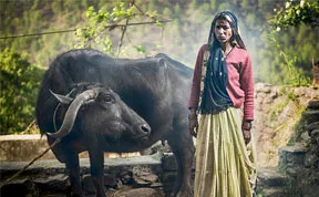 My Photo Trip To Uttaranchal, India