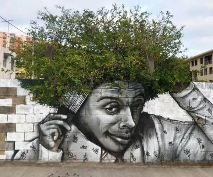 Don't Know The Place Or Author ?