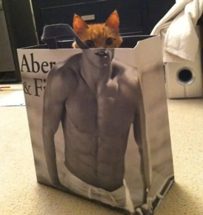 Cat-human