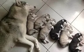 Yes ! We Are Family !!