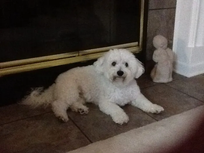 Baxter