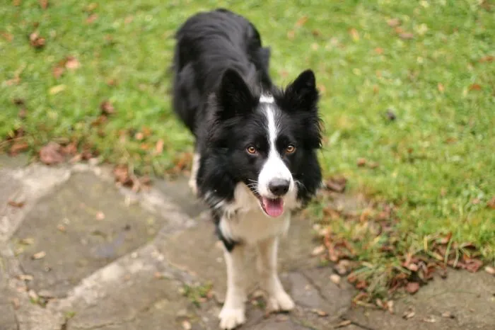 This Is Misho :) Our Funny Guy :d