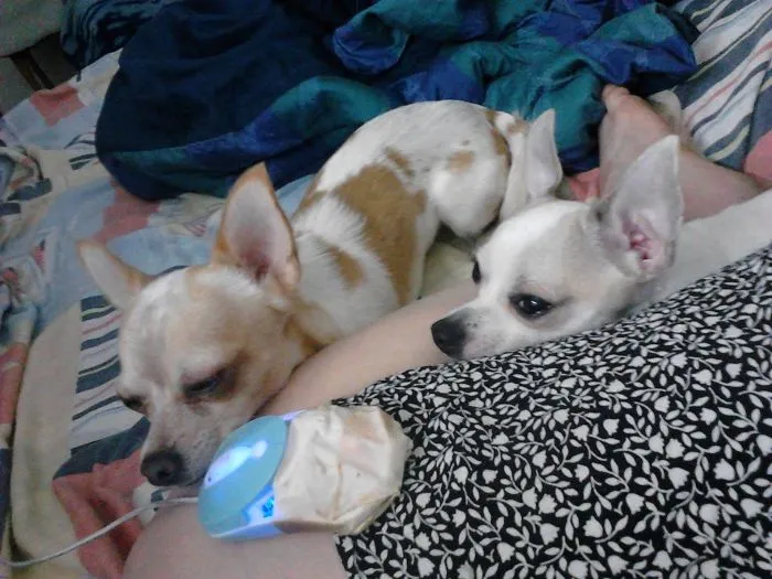 Sam And Rilley - "i Am Sleepy But I Don't Wanna Go To Bed"  :)