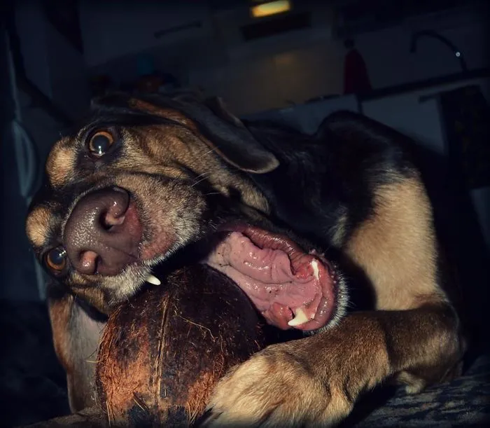 Omnomnomnom... :p