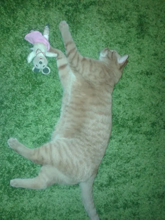 Dexter And His Ballerina
