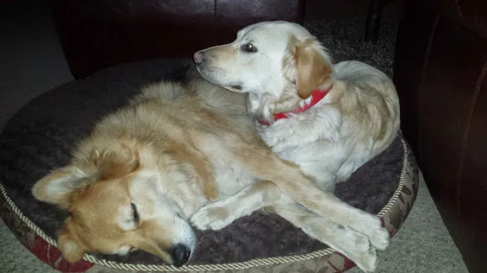 Dariwn &amp; Florrie