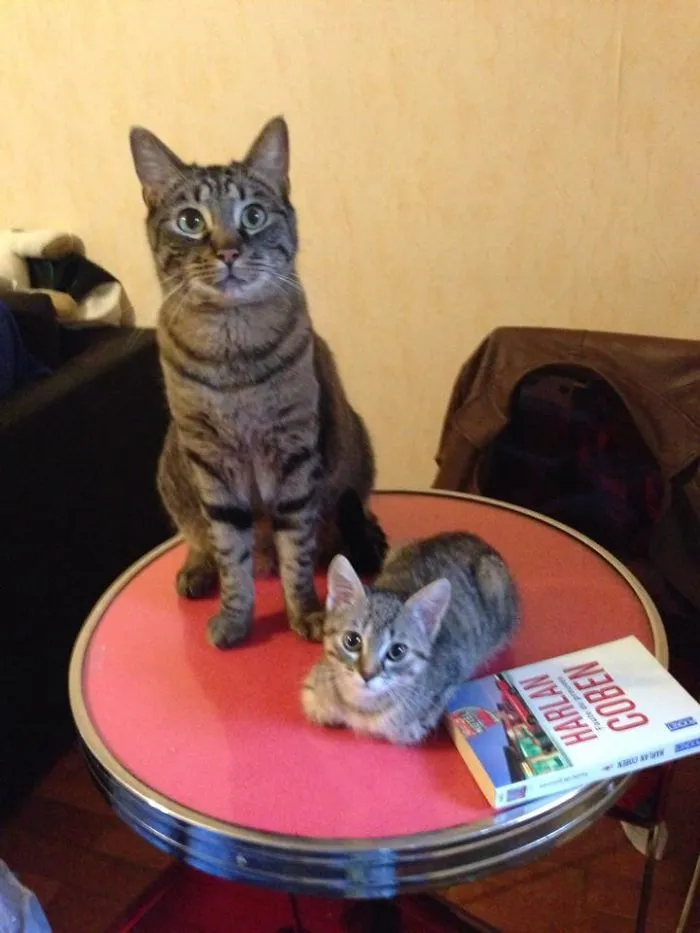 Lyxo &amp; Inaya