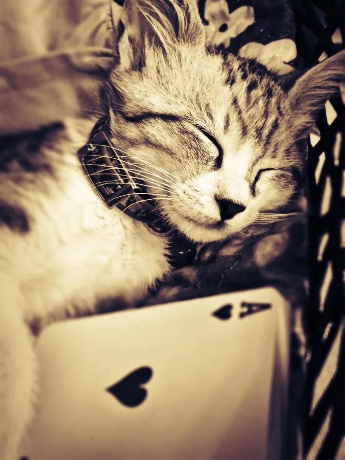 Precious :)