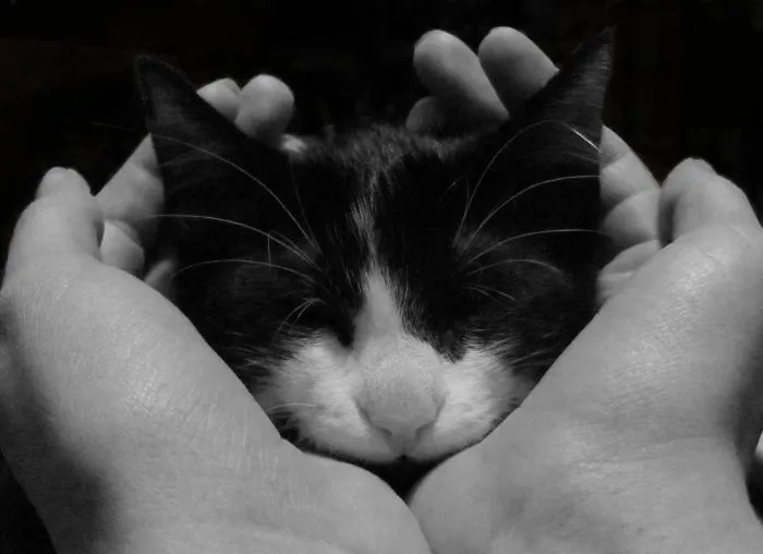 Charlie