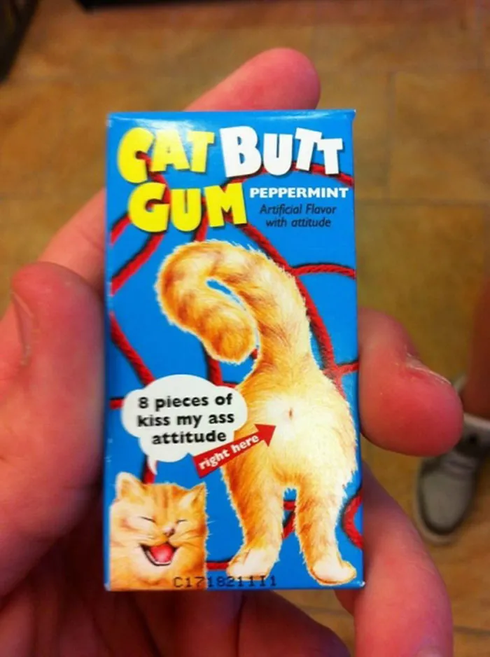 Why Put A Cat But Picture On A Gum?