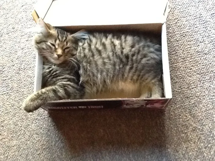 I Am In A Box