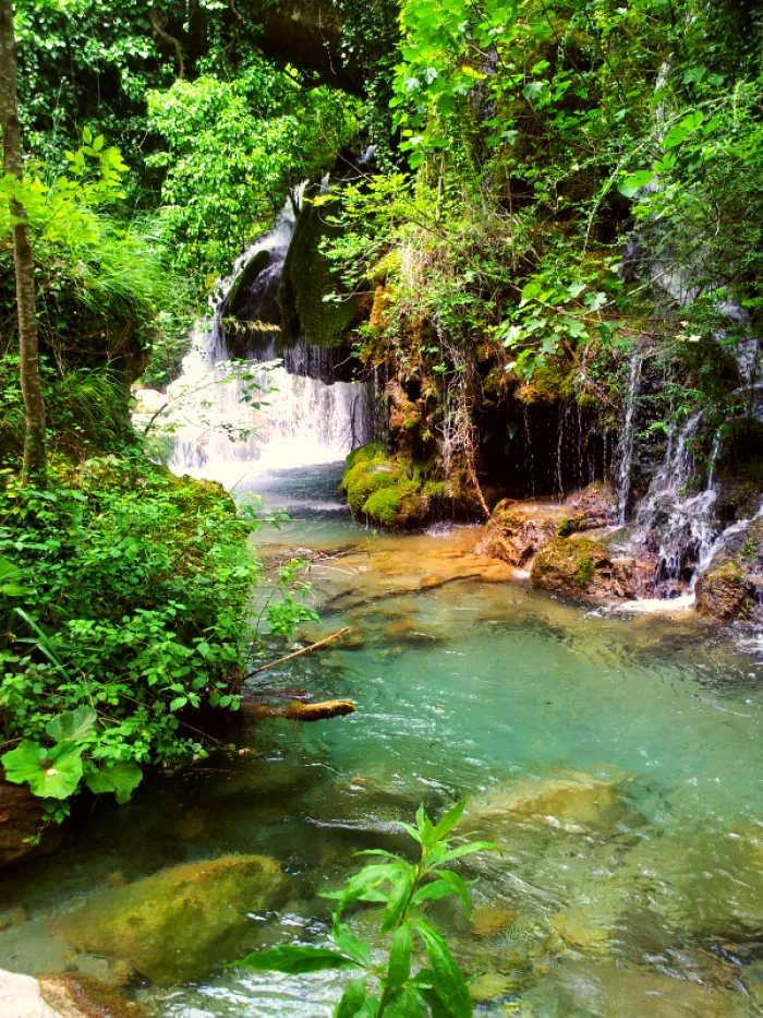 Oasi Di Morigerati - Cilento - Italy
