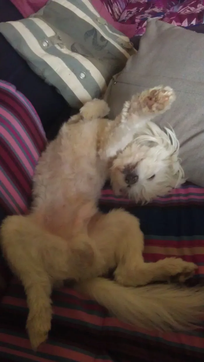 Snowy Sleeping