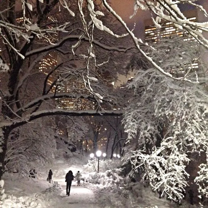 Snowy Nights In Central Park