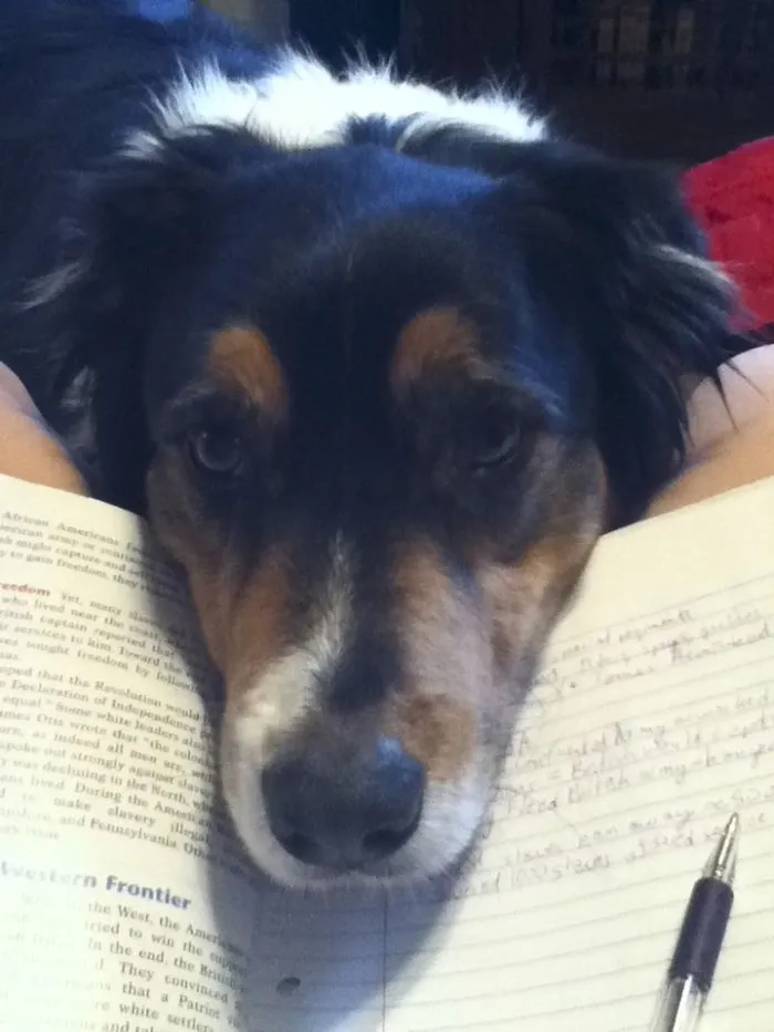 Helping With Homework