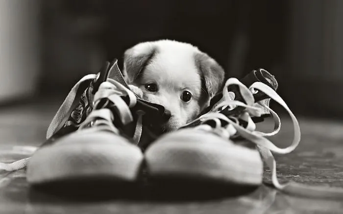 #adorable