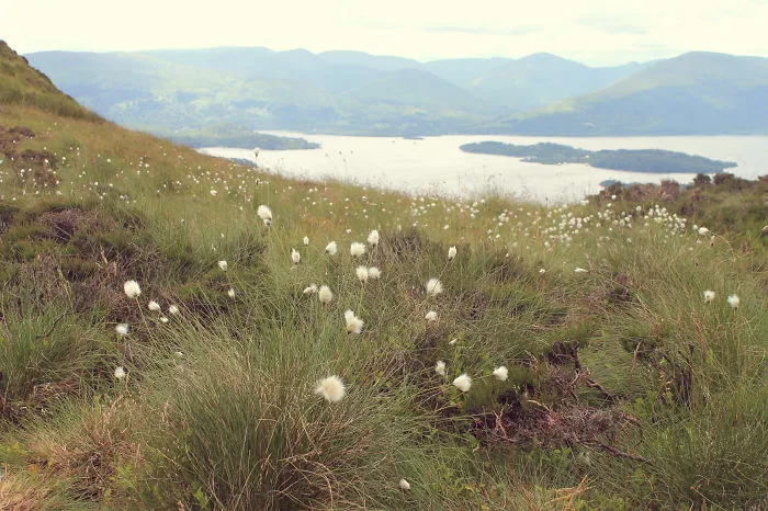 Conic Hill, Loch Lomond By Ita