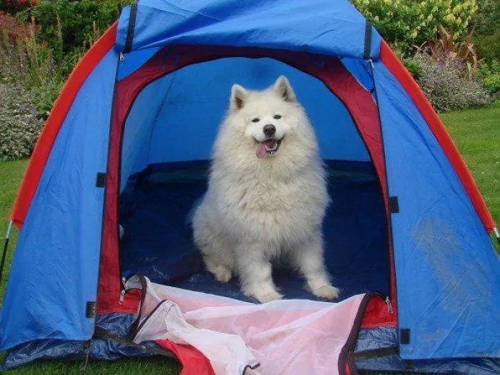 Festival Weekend Anyone?