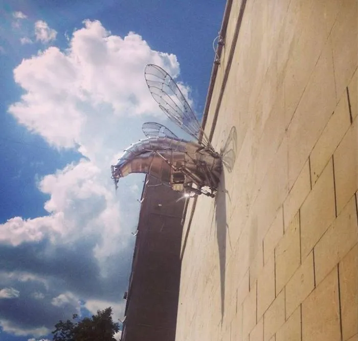 Wasp,bulgaria,gabrovo,house Of Humour And Theater