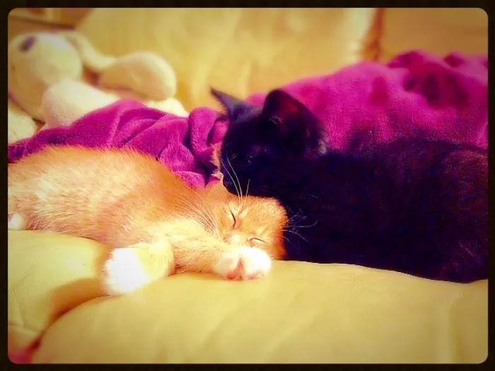 Baby Goodnight