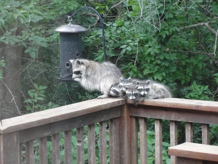 Snack Time!