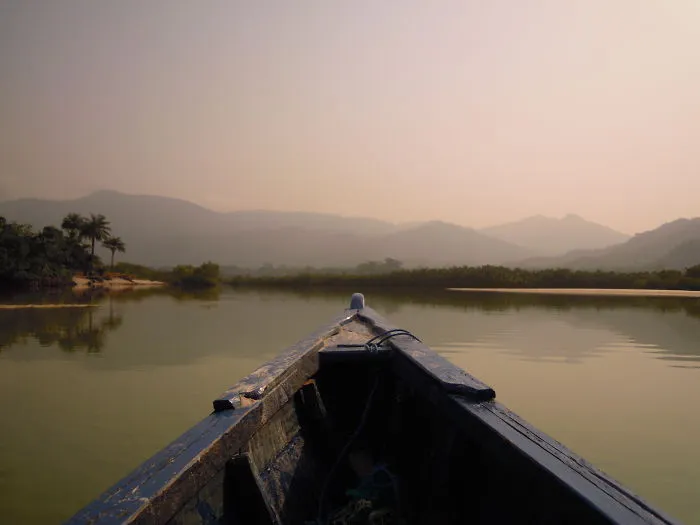 Sierra Leone (near To Freetown) - Mangroves Forest