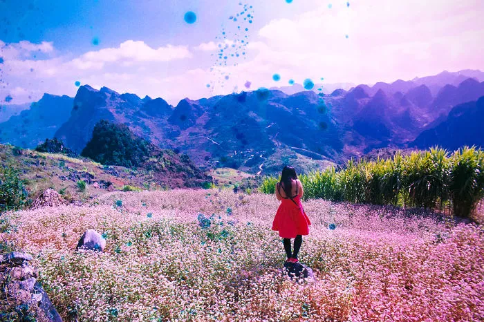 Ha Giang - Vietnam