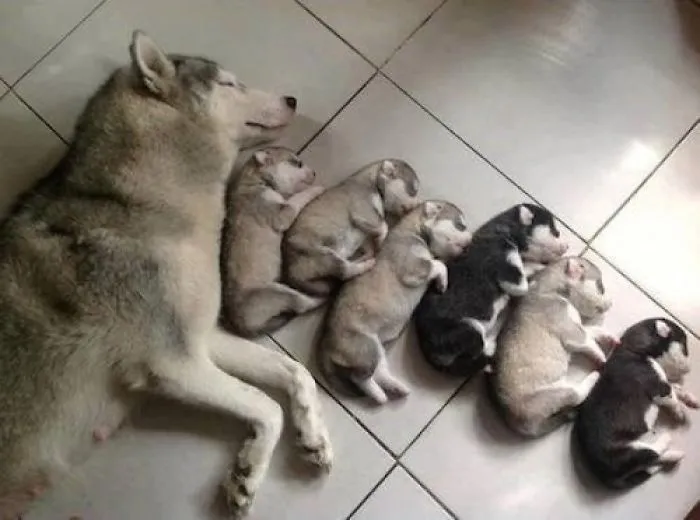 Yes ! We Are Family !!