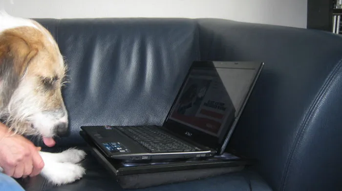 Tobias Signing Petition For Other Dogs.