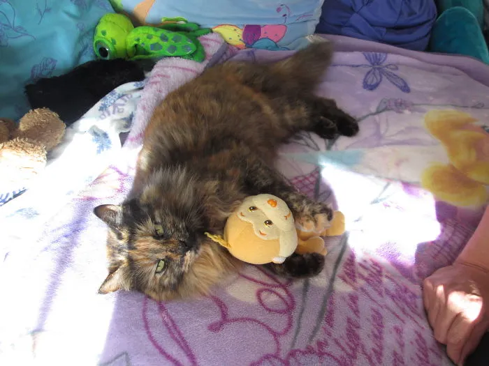 * Cuddle Cuddle *