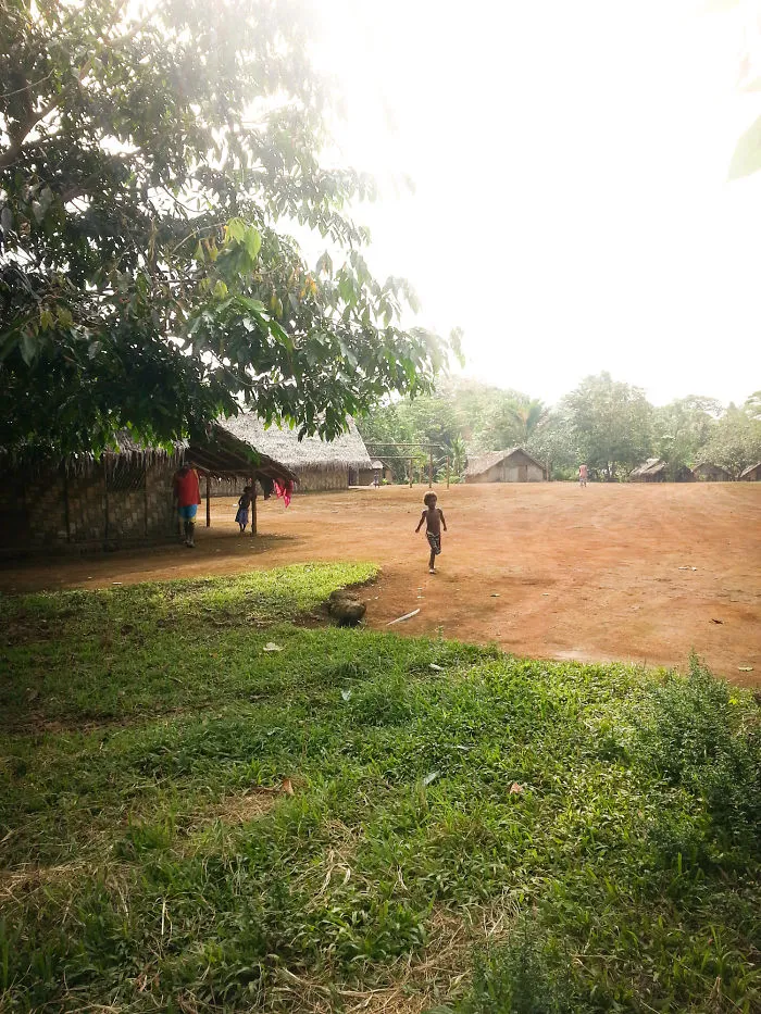 Village In Vanuatu