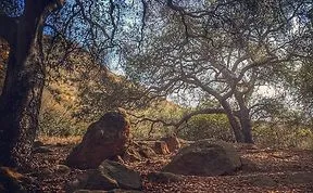 Share Your Best Smartphone Photography