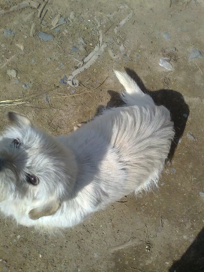 Snowflake :)