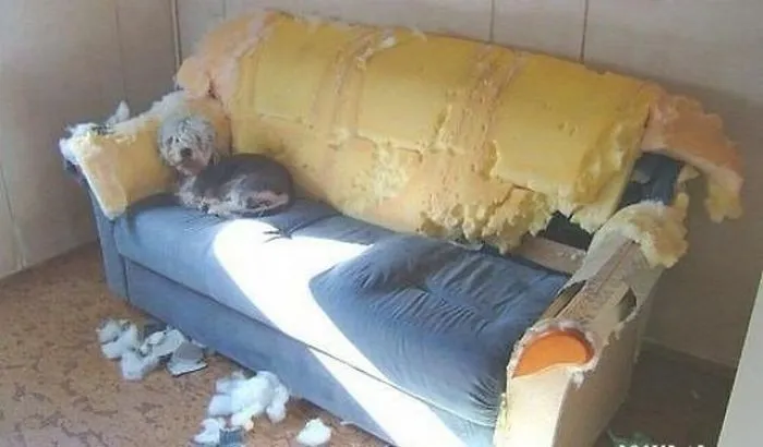Shit Happens