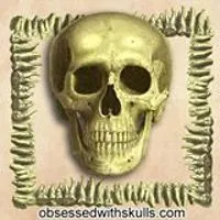 ObsessedWithSkulls