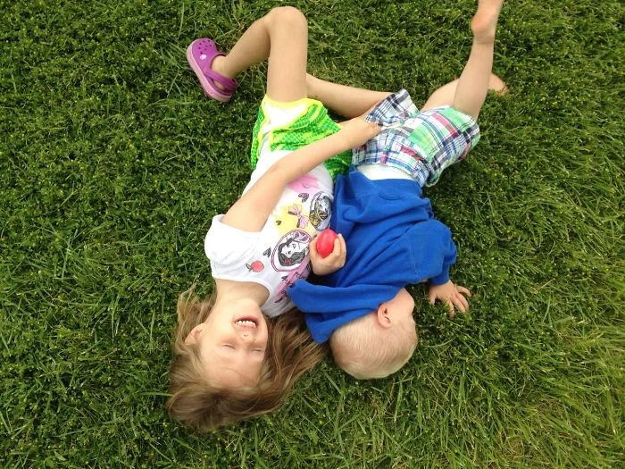Green Grass Wrestling In The Usa