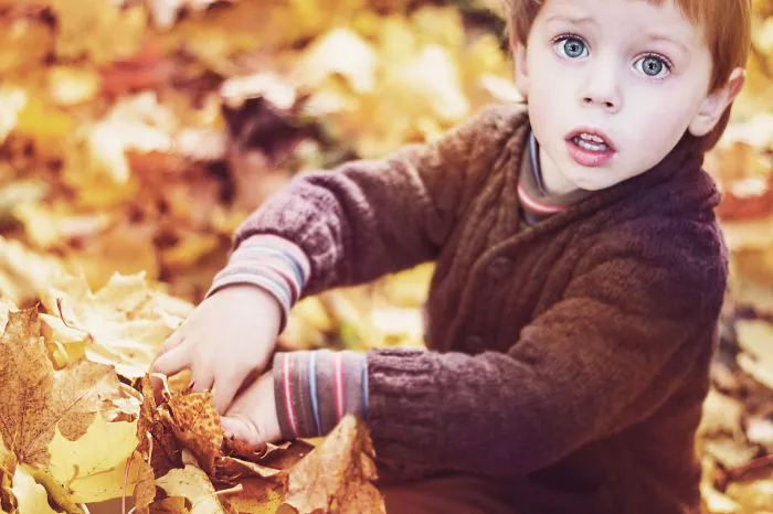 Autumn In Lithuania